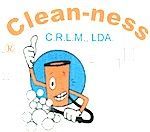 Clean-Ness - Limpeza Tratamento Tapeçarias e Sofás - Impermeabilização