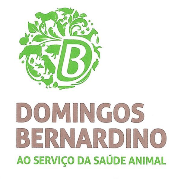 Domingos Bernardino