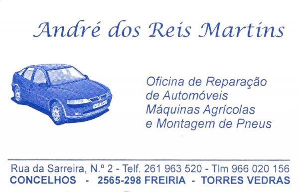 Andre dos Reis Martins - Oficina Auto